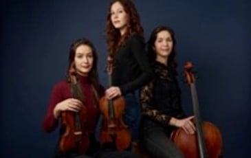 Trio Sypniewski