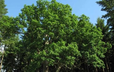 Vernissage de l'exposition de photographies sur le patrimoine naturel
