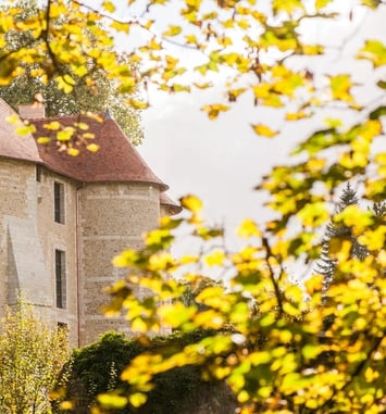 Visite guidée "Le château et l'arboretum : deux patrimoines à protéger"
