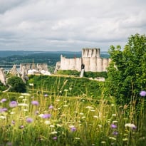 Exposition : château Gaillard, la sauvegarde d'une forteresse emblématique
