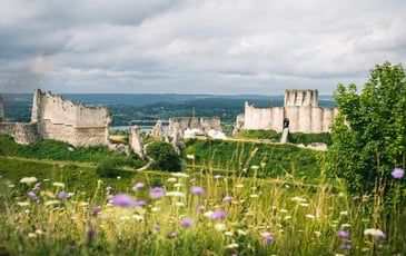 Exposition : château Gaillard, la sauvegarde d'une forteresse emblématique