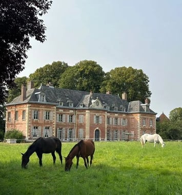 Visite libre du parc et du château