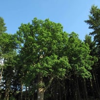 Exposition de photographies sur le patrimoine naturel