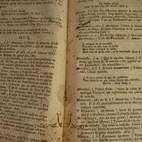Visite guidée : les enjeux de la conservation des documents