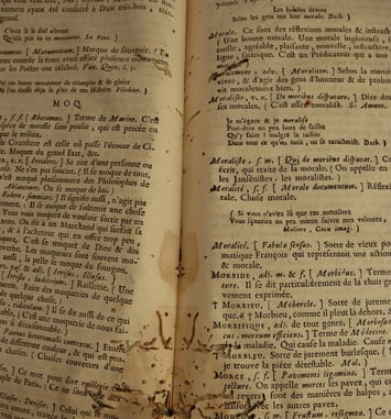 Visite guidée : les enjeux de la conservation des documents