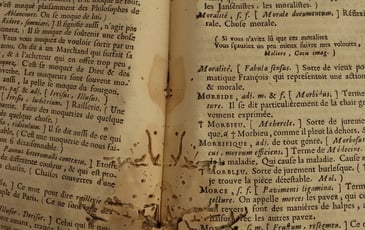 Visite guidée : les enjeux de la conservation des documents