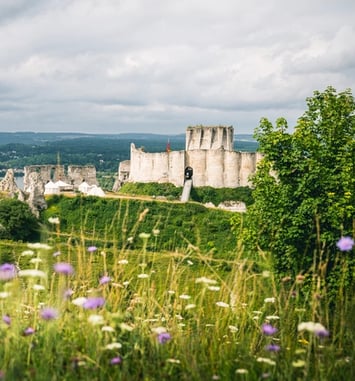 Visite guidée : château Gaillard, la sauvegarde d'une forteresse emblématique