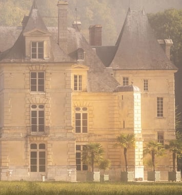 Visite guidée autour du château : histoire, architecture et botanique