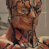 Visite libre du musée