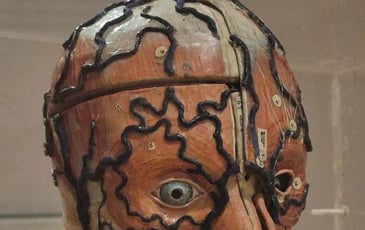 Visite libre du musée