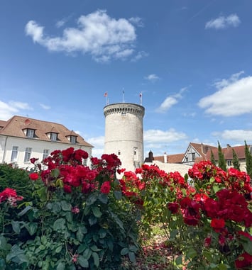 Visite libre de la tour