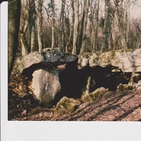 Visite guidée d'une allée couverte néolithique