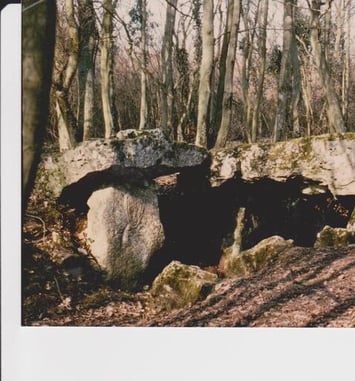 Visite guidée d'une allée couverte néolithique