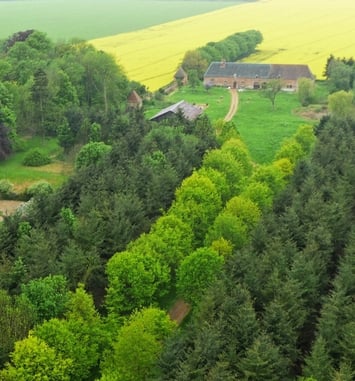 Visite guidée du manoir