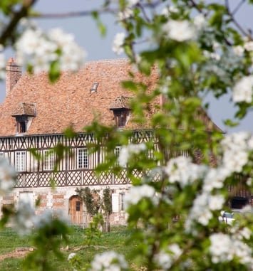 Visite guidée : découverte d'un domaine cidricole depuis 3 générations