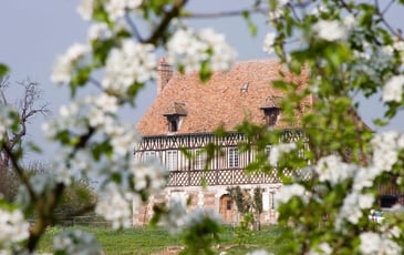 Visite guidée : découverte d'un domaine cidricole depuis 3 générations
