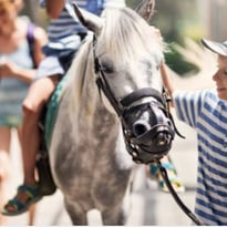 Animation jeune public : à la découverte du patrimoine à dos de poney