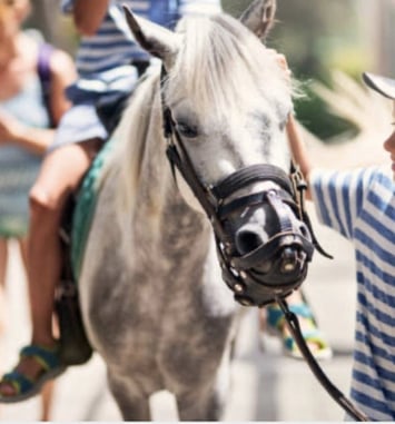 Animation jeune public : à la découverte du patrimoine à dos de poney