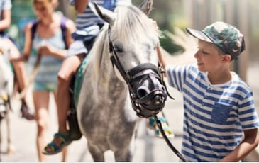 Animation jeune public : à la découverte du patrimoine à dos de poney