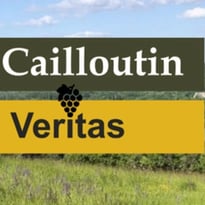 Conférence : présentation du patrimoine viticole et du vin local ressuscité