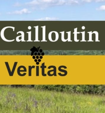 Conférence : présentation du patrimoine viticole et du vin local ressuscité