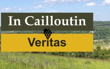 Conférence : présentation du patrimoine viticole et du vin local ressuscité