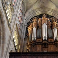 Visite guidée de l'orgue