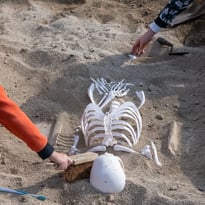 Animation jeune public : la fouille d'une sépulture gallo-romaine
