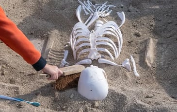 Animation jeune public : la fouille d'une sépulture gallo-romaine