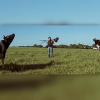 Mon père avait trois vaches par Mouton Major