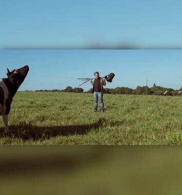 Mon père avait trois vaches par Mouton Major